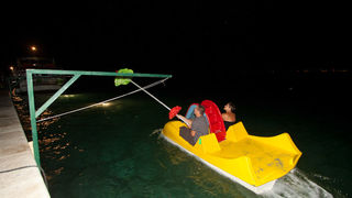 Biograd na Moru: 3. Morska alga, Foto: Franjo Jurić