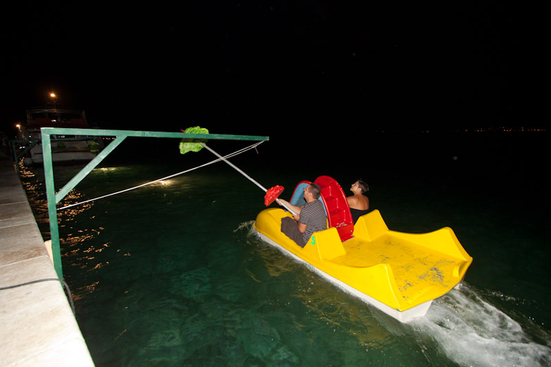 Biograd na Moru: 3. Morska alga, Foto: Franjo Jurić