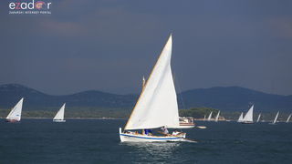 Betina: 16. Regata za dušu i tilo