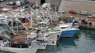 Potpora zadarskih ribara hrvatskoj Vladi za proglasenje ZERP-a