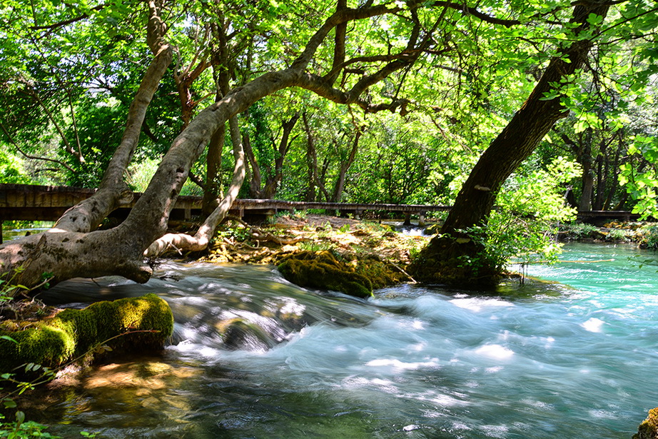 Đir do NP Krka. foto-Iva Perincic
