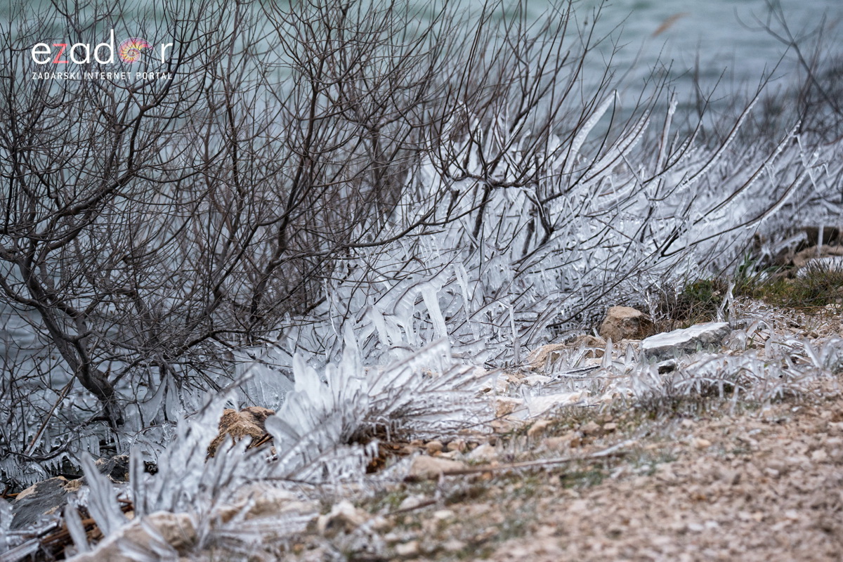 Zimska idila u Parku prirode Vransko jezero Zimska idila u Parku prirode Vransko jezero