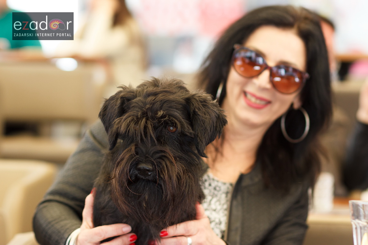 Đir po gradu, uskrsni ponedjeljak 2. travnja 2018. Đir po gradu, uskrsni ponedjeljak 2. travnja 2018.