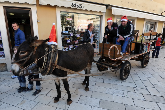 Zadar, 241212.
Na danasnji dan kao i svake godine u ovo vrijeme, cijeli Poluotok, a pogotovo Varos, pun je Zadrana koji uzivaju u bakalaru i druzenju s obitelji i prijateljima. Kroz citav grad prolaze klape i sviraci pjevajuci prigodne pjesme.
Na fotograf Zadar, 241212.
Na danasnji dan kao i svake godine u ovo vrijeme, cijeli Poluotok, a pogotovo Varos, pun je Zadrana koji uzivaju u bakalaru i druzenju s obitelji i prijateljima. Kroz citav grad prolaze klape i sviraci pjevajuci prigodne pjesme.
Na fotograf