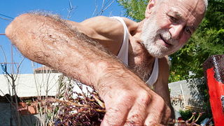 Priča o vinu: Od trsa do bačve, Foto: Leo Banić