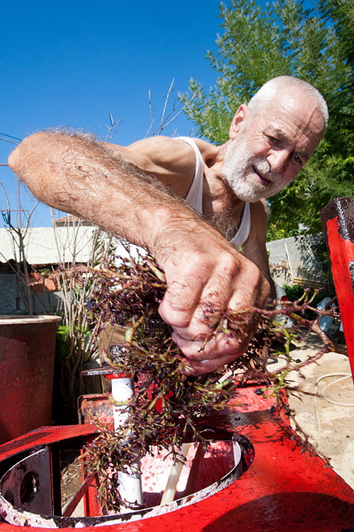 Priča o vinu: Od trsa do bačve, Foto: Leo Banić