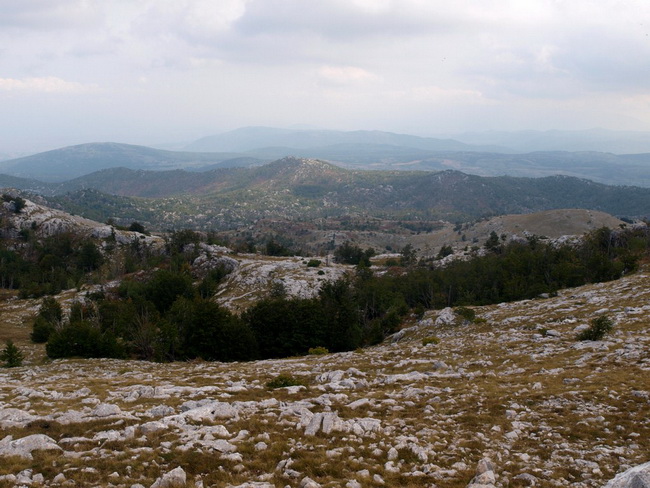 Svilaja, 18 rujna 2010