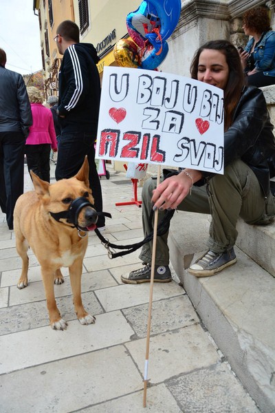 Skup podrške za NO KILL skloništa za životinje,  foto Iva Perinčić