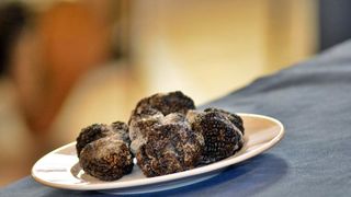 Predstavljanje tartufa s područja Zadarske županije, foto: eZadar