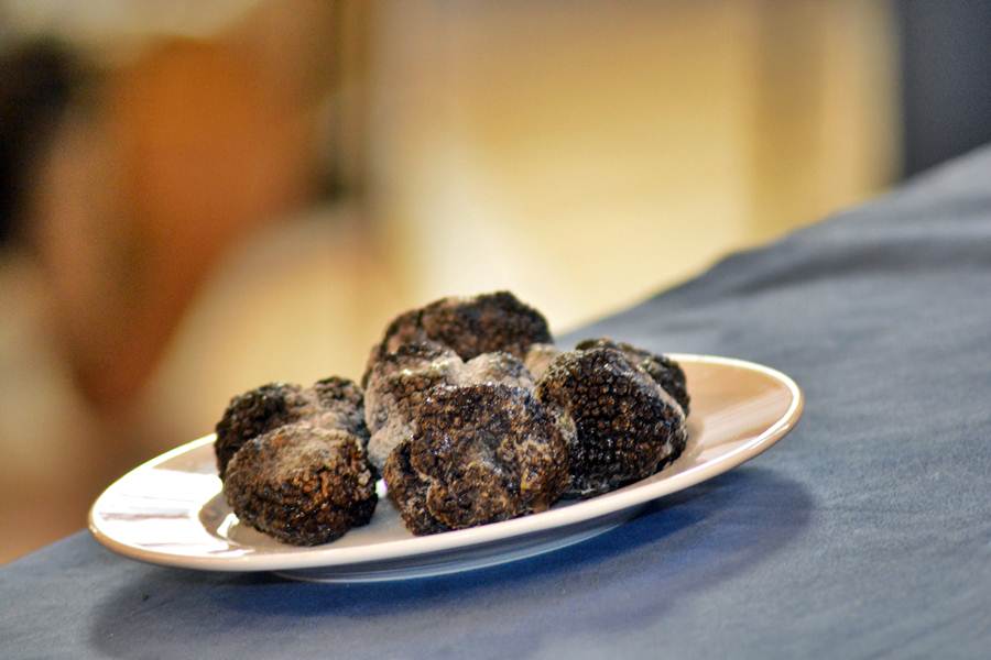 Predstavljanje tartufa s područja Zadarske županije, foto: eZadar