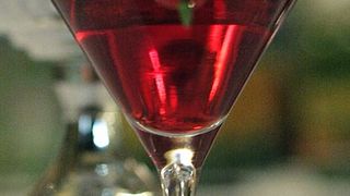 Havana Cup 2009. – 15. regionalno natjecanje barmena (foto: Marin Gospić)