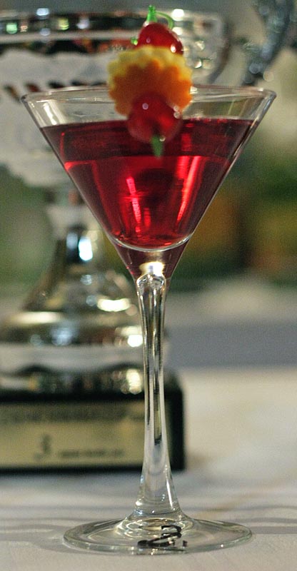 Havana Cup 2009. – 15. regionalno natjecanje barmena (foto: Marin Gospić)