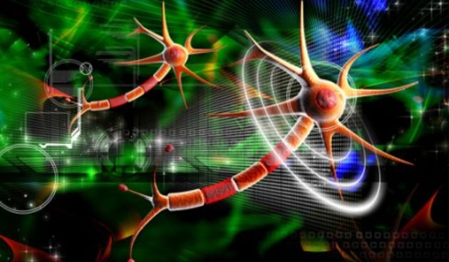 Kompjuteri budućnosti imat će “osjetila”; neuroni (Metro-portal.hr)