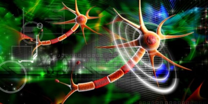 Kompjuteri budućnosti imat će “osjetila”; neuroni (Metro-portal.hr)