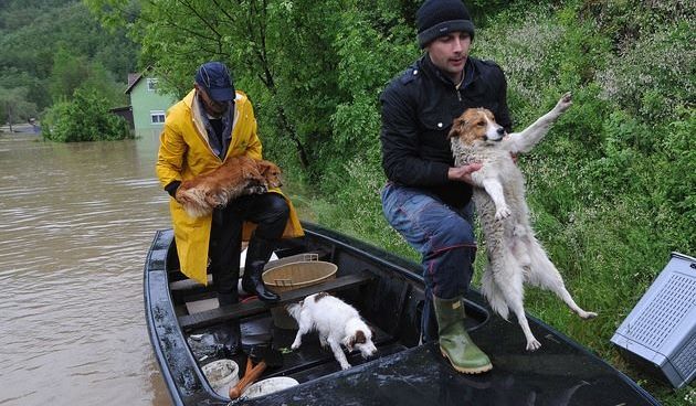 Poplave u Srbiji, foto: prijatelji-zivotinja.hr