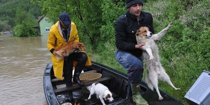 Poplave u Srbiji, foto: prijatelji-zivotinja.hr Poplave u Srbiji, foto: prijatelji-zivotinja.hr