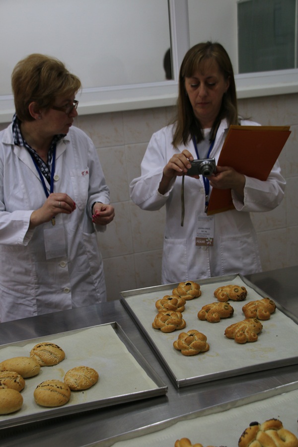 U Zadru po treći put održano Državno natjecanje u sektoru poljoprivreda, prehrana, veterina