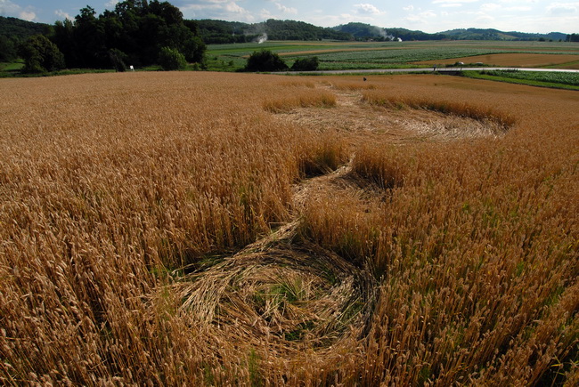 Cakovec, 280610.
Izmedju mjesta Donji Koncovscak i Sveti Martin na Muri u zitu pojavili su se misteriozni krugovi. Mjestani okolnih kuca ne vjeruju da se radi o vanzemaljcima, vec da je rijec o sali lokalnih mjestana.
Foto: Zeljko Hajdinjak / CROPIX Cakovec, 280610.
Izmedju mjesta Donji Koncovscak i Sveti Martin na Muri u zitu pojavili su se misteriozni krugovi. Mjestani okolnih kuca ne vjeruju da se radi o vanzemaljcima, vec da je rijec o sali lokalnih mjestana.
Foto: Zeljko Hajdinjak / CROPIX