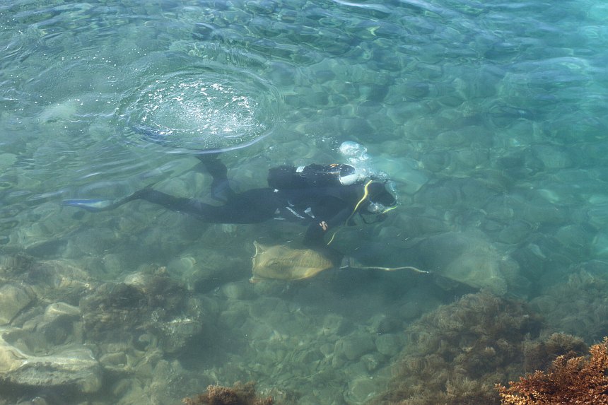 Velika akcija čišćenja podmorja u Bibinjama, foto: L.Banić