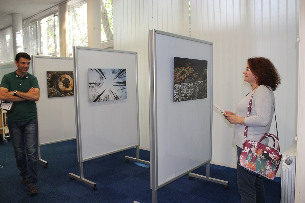 U Gradskoj knjižnici otvorena izložba “Crna šuma” Damira Hoyke