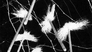 Braća Brkan: Slike sna i svjetlosti Braća Brkan: Slike sna i svjetlosti