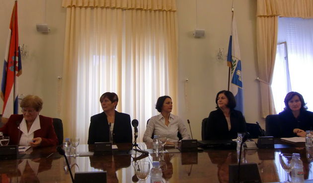 Okrugli stol u Domu županije