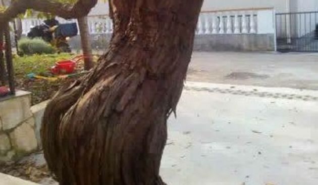 Zadarska loza bolja od Jennifer Lopez