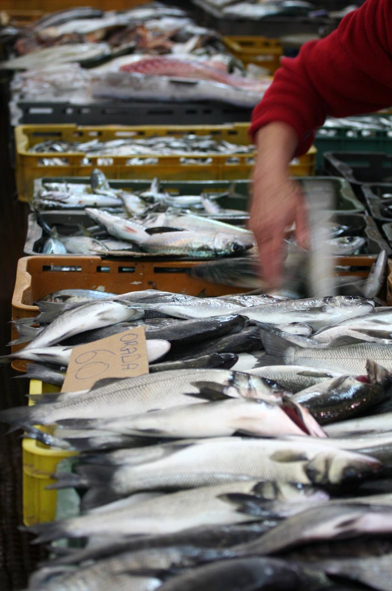 Image 1199877 (auto)