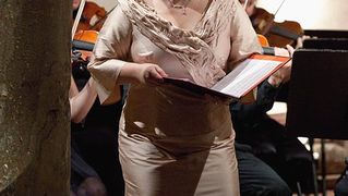 Image 1082117 (auto)