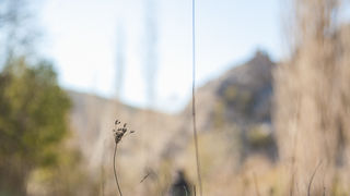 Izlet na Kudin most, foto: Darko Belančić Izlet na Kudin most, foto: Darko Belančić