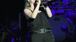 Seal u Zadru 14. srpnja 2010. (foto:Saša Čuka)