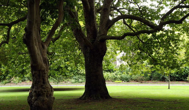 Matruanti Zadarske privatne gimnazije u Dublinu, Foto: Valentino Radman