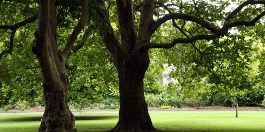 Matruanti Zadarske privatne gimnazije u Dublinu, Foto: Valentino Radman Matruanti Zadarske privatne gimnazije u Dublinu, Foto: Valentino Radman