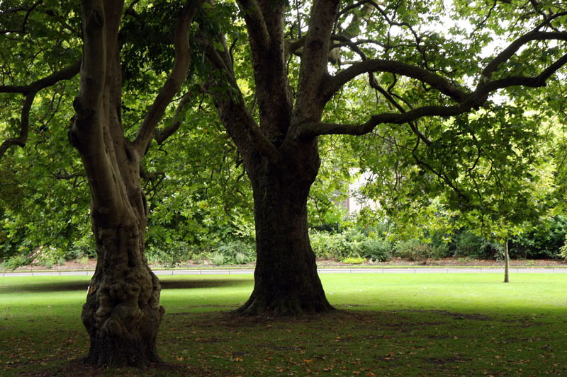 Matruanti Zadarske privatne gimnazije u Dublinu, Foto: Valentino Radman