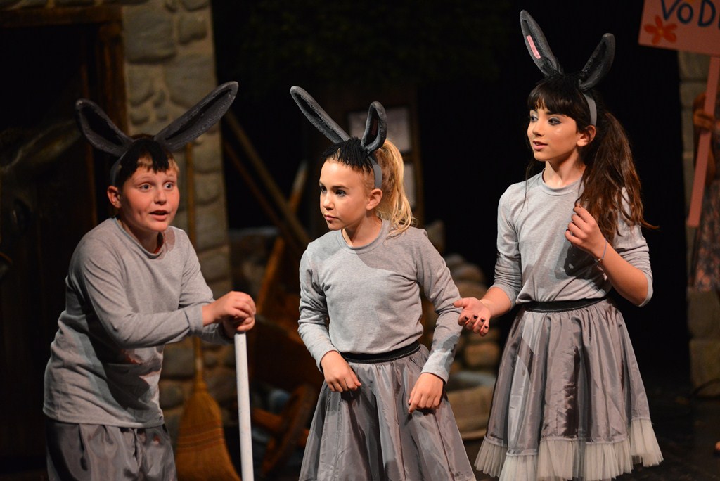 Donatolina u Kazalištu lutaka: “Mareta tamo i nazad”