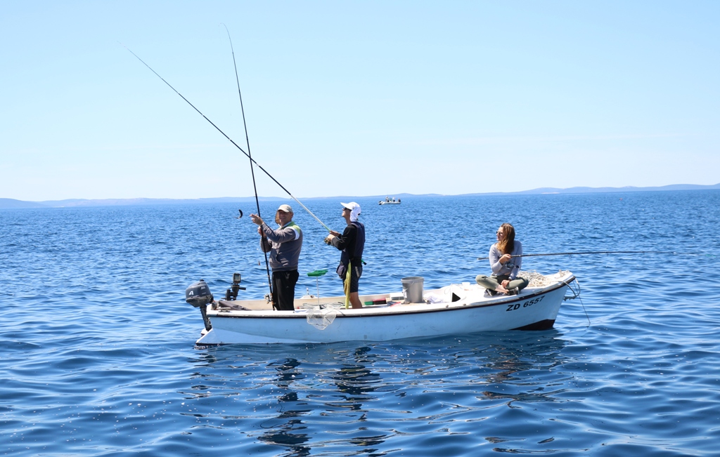 Vir: Memorijalni udičarski kup “Tonči Spavalica”