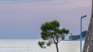 Zadarski komorni orkestar & Boštjan Lipovšek @ Crkva sv. Nikole