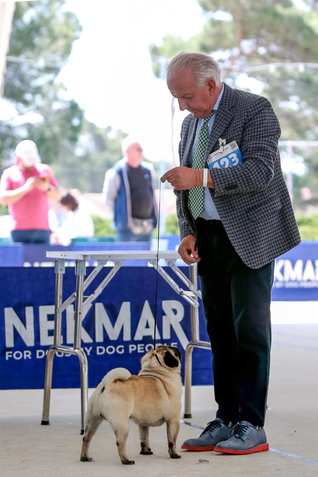 Međunarodna izložba pasa CACIB 2023