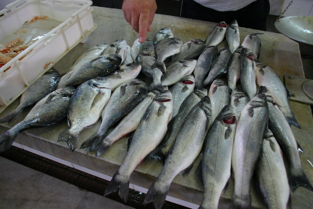 Image 1207689 (auto)