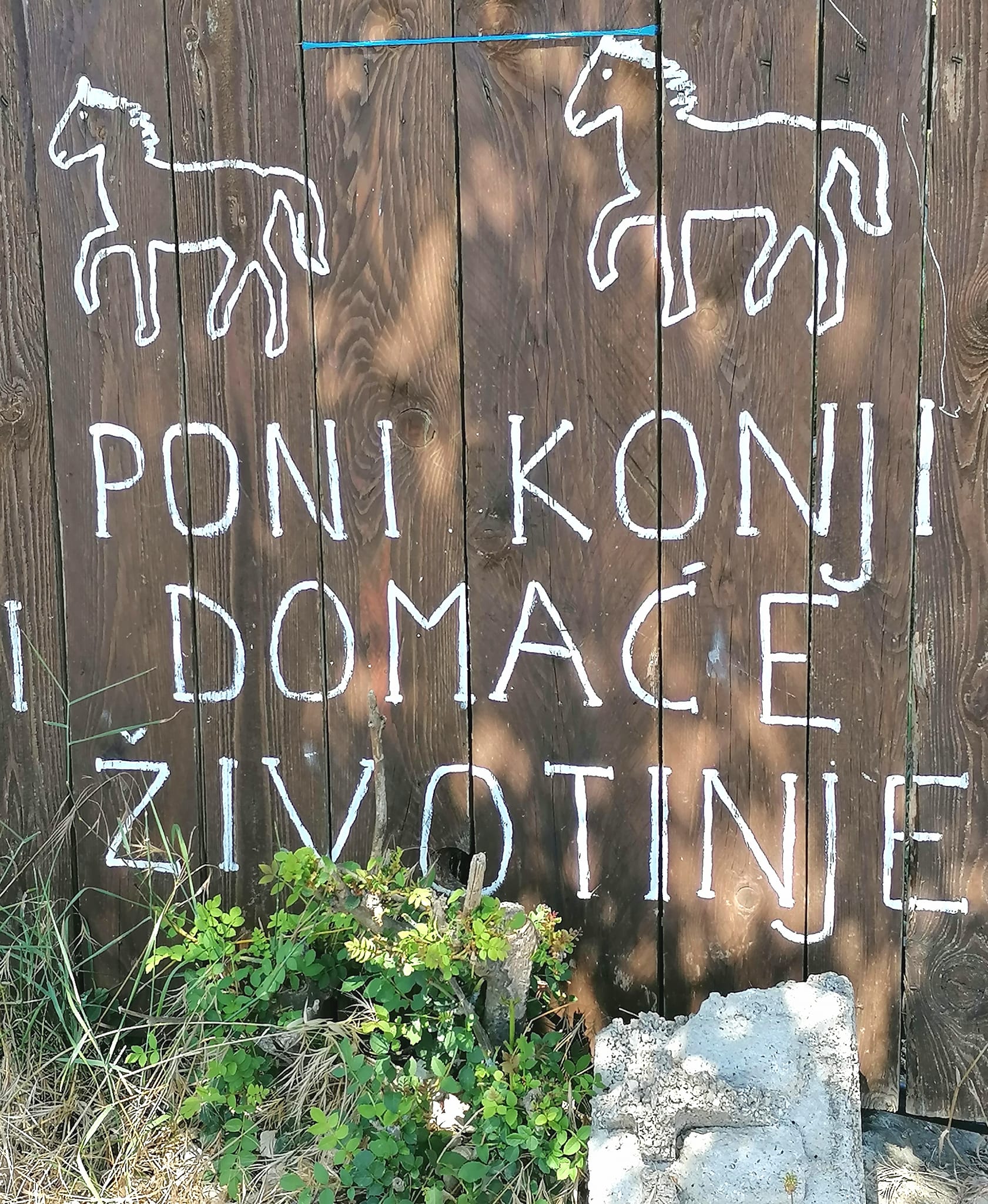 Libretići na snimanju spota u Ponylandu Libretići na snimanju spota u Ponylandu