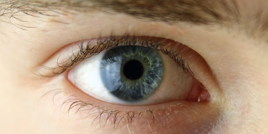 Plave oči: mutacija do koje je došlo nedavno u smislu vremenske linije naše vrste. Prije su ljudi imale smeđe oči. No, istraživači su otkrili kada je došlo do mutacije, prije 6.000 do 10.000 godina. Prva plavooki čovjek vjerojatno je živio u Europi Plave oči: mutacija do koje je došlo nedavno u smislu vremenske linije naše vrste. Prije su ljudi imale smeđe oči. No, istraživači su otkrili kada je došlo do mutacije, prije 6.000 do 10.000 godina. Prva plavooki čovjek vjerojatno je živio u Europi