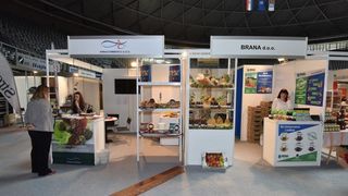 Image 380605 (auto) Image 380605 (auto)