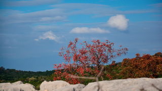 Nedjeljni đir do Parka prirode Vransko jezero i vidikovca Kamenjak, foto: Iva Perinčić Nedjeljni đir do Parka prirode Vransko jezero i vidikovca Kamenjak, foto: Iva Perinčić