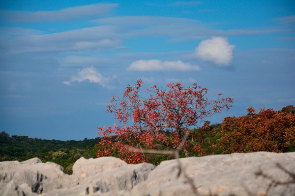 Nedjeljni đir do Parka prirode Vransko jezero i vidikovca Kamenjak, foto: Iva Perinčić Nedjeljni đir do Parka prirode Vransko jezero i vidikovca Kamenjak, foto: Iva Perinčić