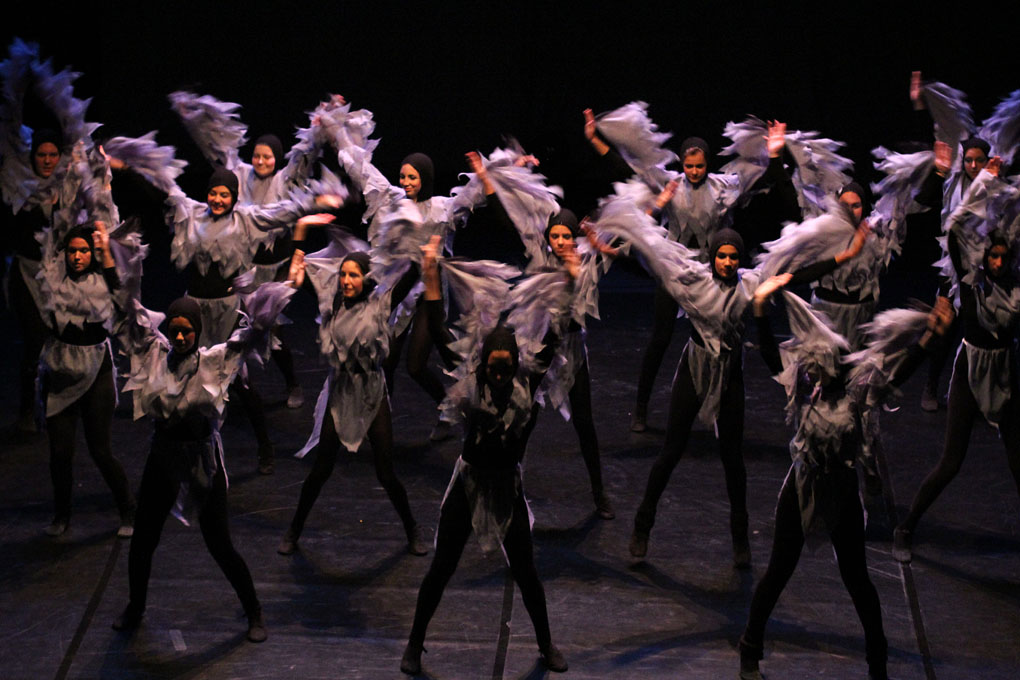 Večer Za Nives, plesni ansambli, foto: Iva Perinčić