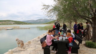 Završena još jedna uspješna “Zelena čistka” u Parku prirode Vransko jezero Završena još jedna uspješna “Zelena čistka” u Parku prirode Vransko jezero