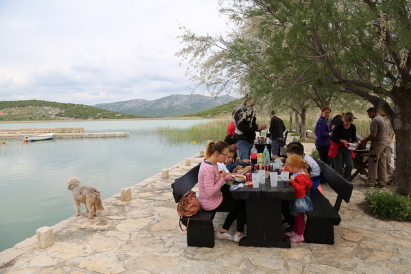 Završena još jedna uspješna “Zelena čistka” u Parku prirode Vransko jezero Završena još jedna uspješna “Zelena čistka” u Parku prirode Vransko jezero