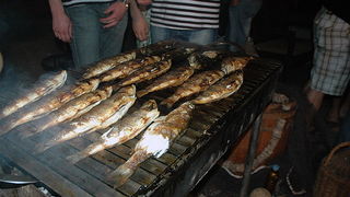 Ribarska festa zadarskih studenata u zagrebackom klubu Roko Ribarska festa zadarskih studenata u zagrebackom klubu Roko