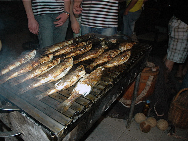 Ribarska festa zadarskih studenata u zagrebackom klubu Roko Ribarska festa zadarskih studenata u zagrebackom klubu Roko