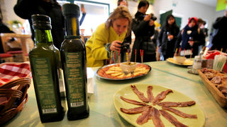Mediji i uzvanici posjetili Polaču, Vransko jezero i Maškovića han